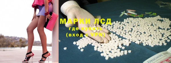 мяу мяу мука Алзамай