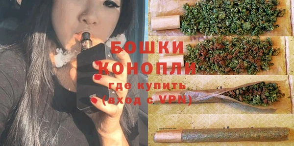 шишки Абаза