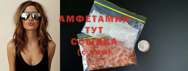 шишки Абаза