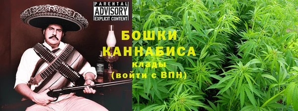 шишки Абаза