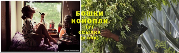 шишки Абаза